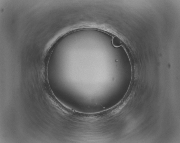 X0000065981502200603101409