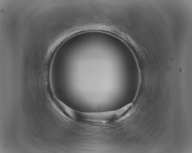 X0000065981504200603101409