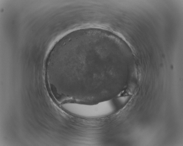 X0000065981508200603101409