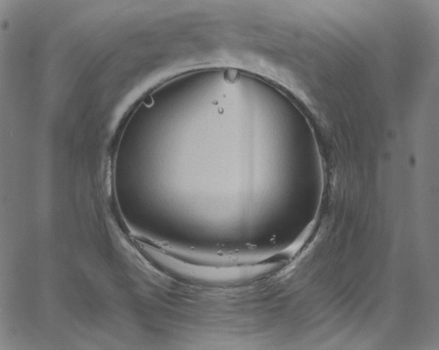 X0000065981510200603101409