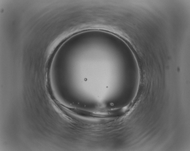 X0000065981511200603101409