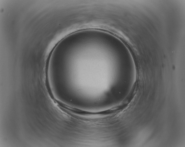 X0000065981512200603101409