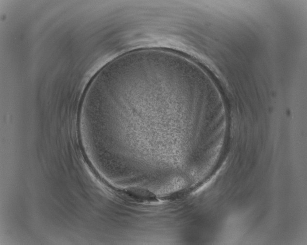 X0000065981513200603101409