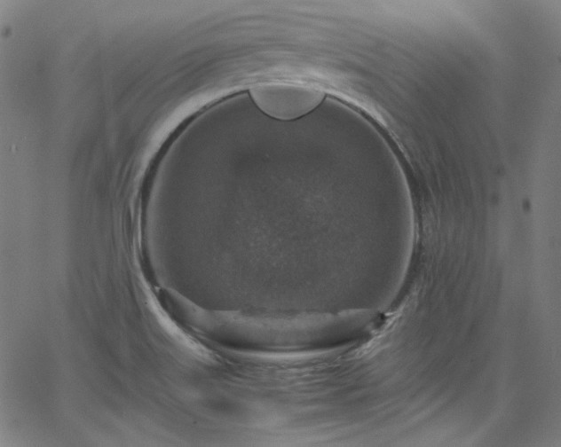 X0000065981515200603101409