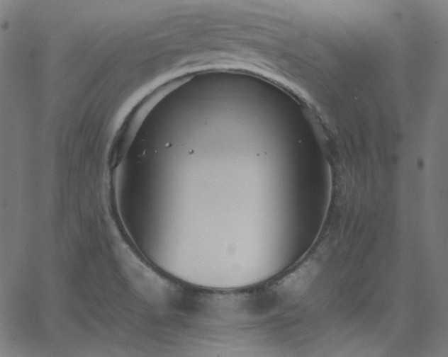 X0000065981518200603101409