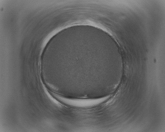 X0000065981519200603101409