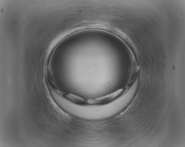 X0000065981520200603101409