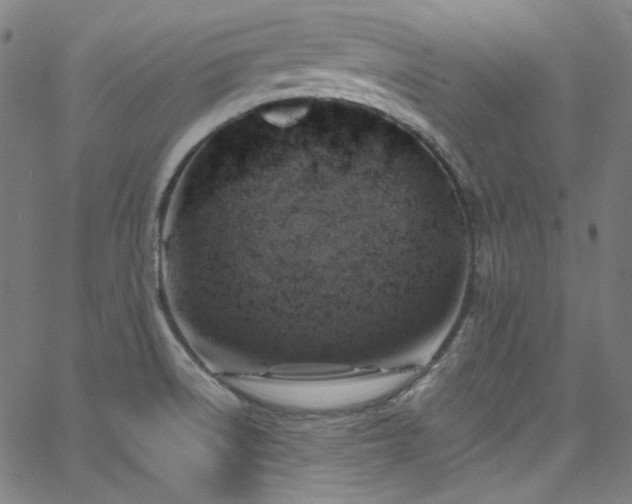 X0000065981522200603101409