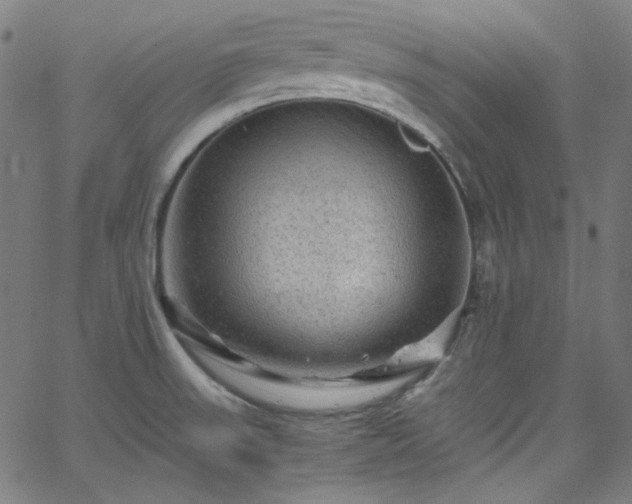 X0000065981523200603101409