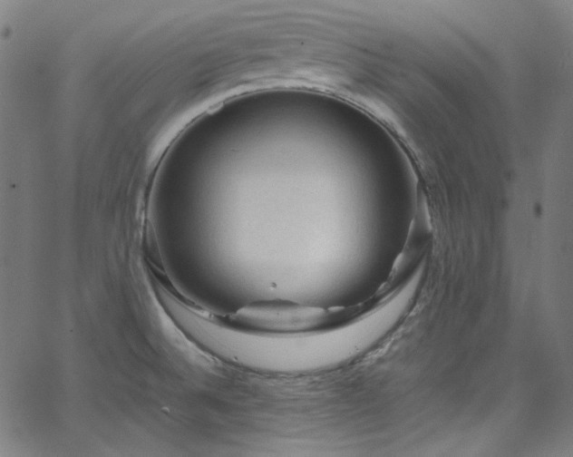 X0000065981524200603101409