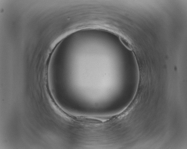 X0000065981526200603101409