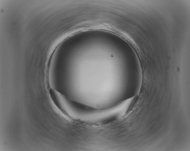 X0000065981528200603101409