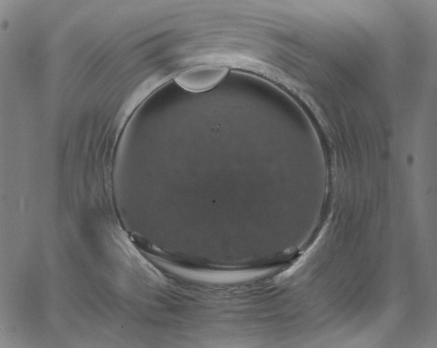 X0000065981529200603101409