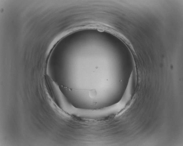 X0000065981530200603101409