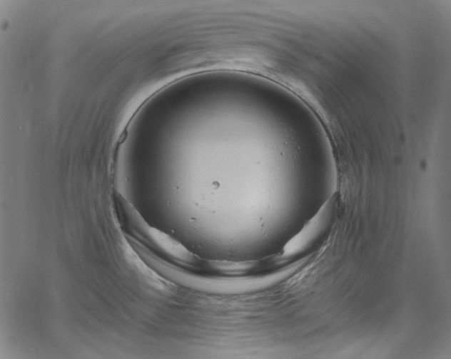 X0000065981532200603101409