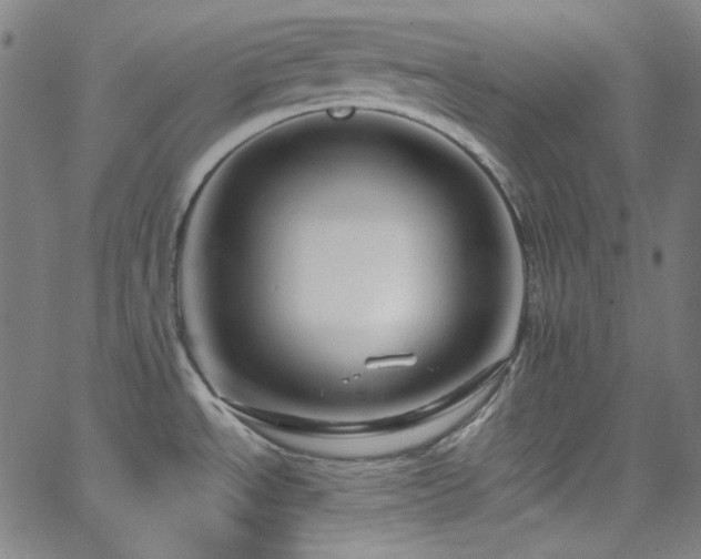 X0000065981534200603101409