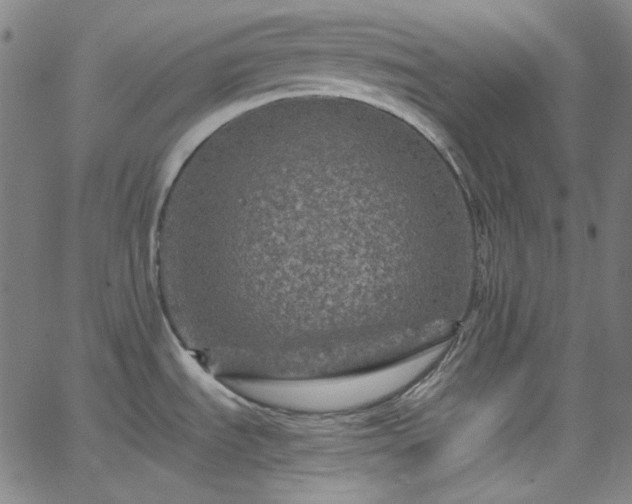 X0000065981535200603101409