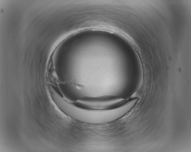 X0000065981536200603101410