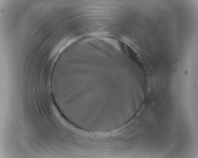 X0000065980002200603172127