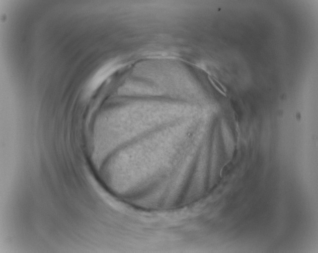 X0000065980005200603172127