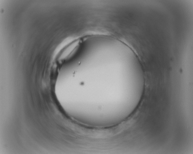 X0000065980008200603172127