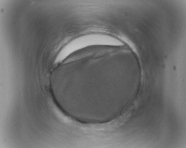 X0000065980009200603172127