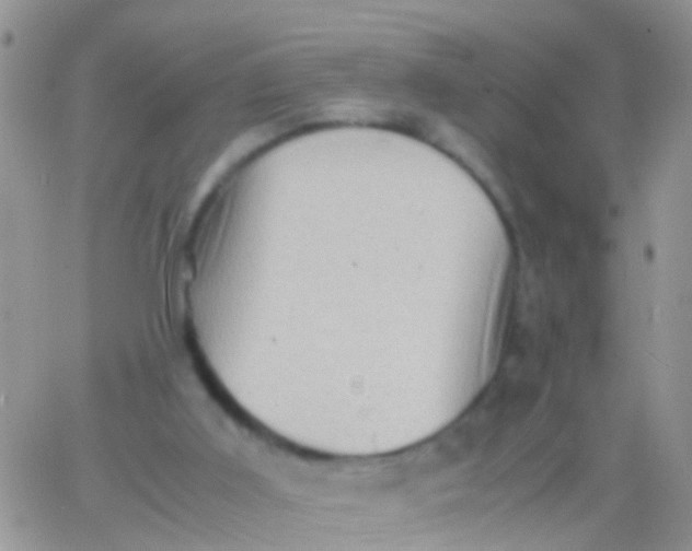 X0000065980011200603172127