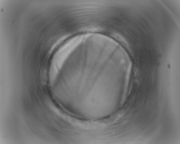 X0000065980012200603172126