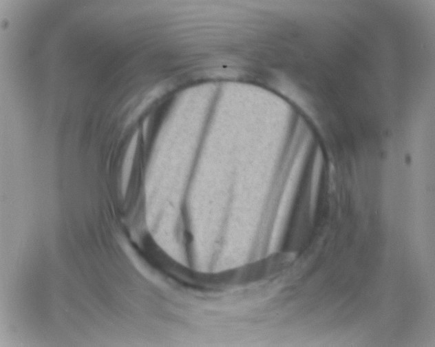 X0000065980013200603172126