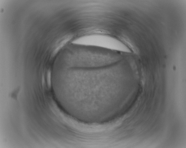 X0000065980014200603172126