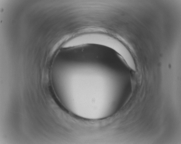 X0000065980015200603172126