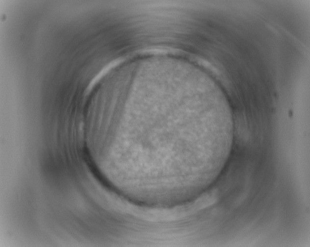 X0000065980016200603172126