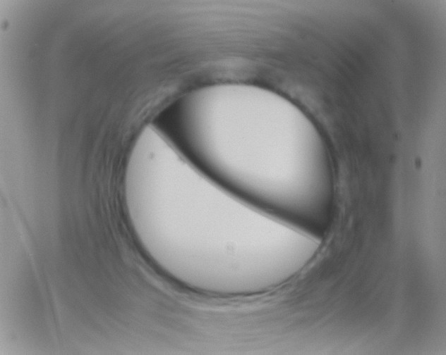 X0000065980017200603172126