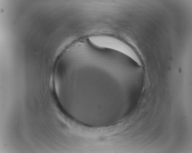 X0000065980019200603172126