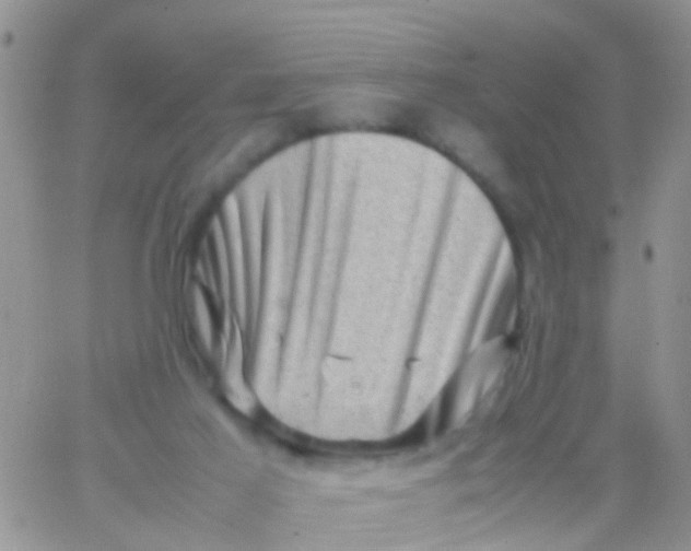 X0000065980021200603172126