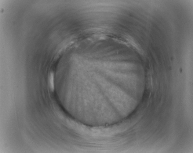 X0000065980022200603172126