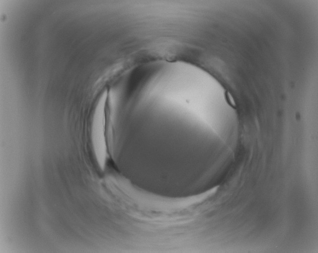 X0000065980023200603172126