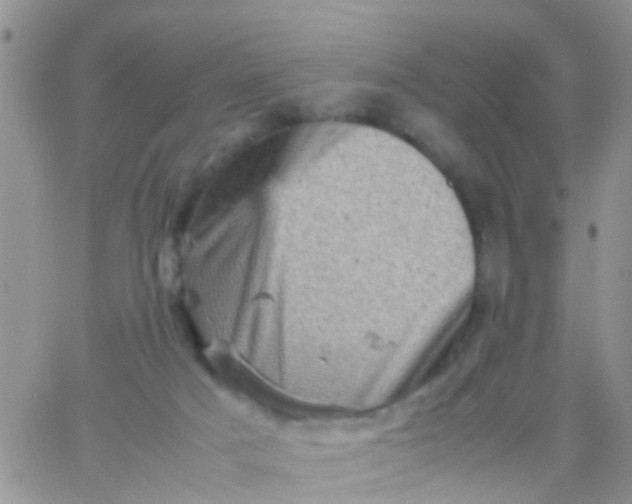 X0000065980025200603172126