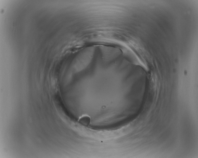 X0000065980031200603172126