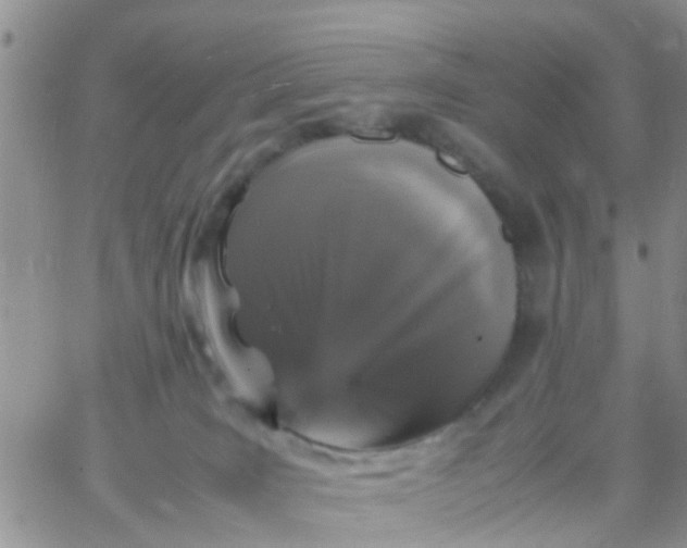 X0000065980035200603172126