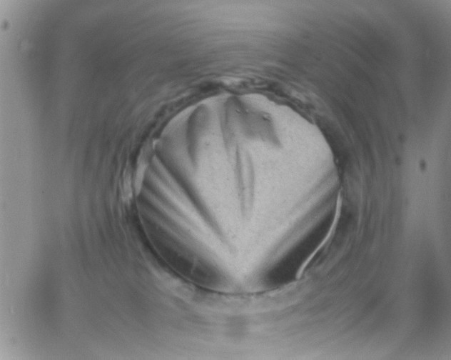 X0000065980037200603172126