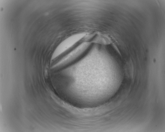 X0000065980038200603172126