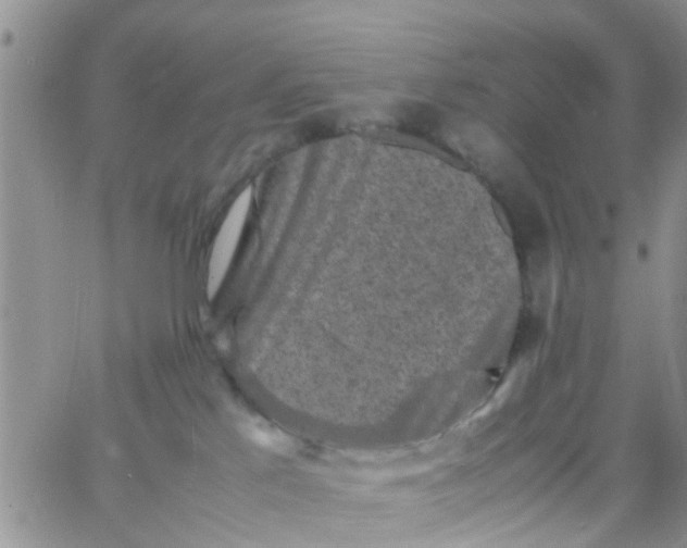 X0000065980041200603172126