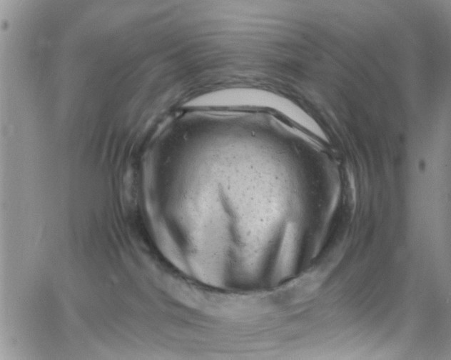 X0000065980044200603172126