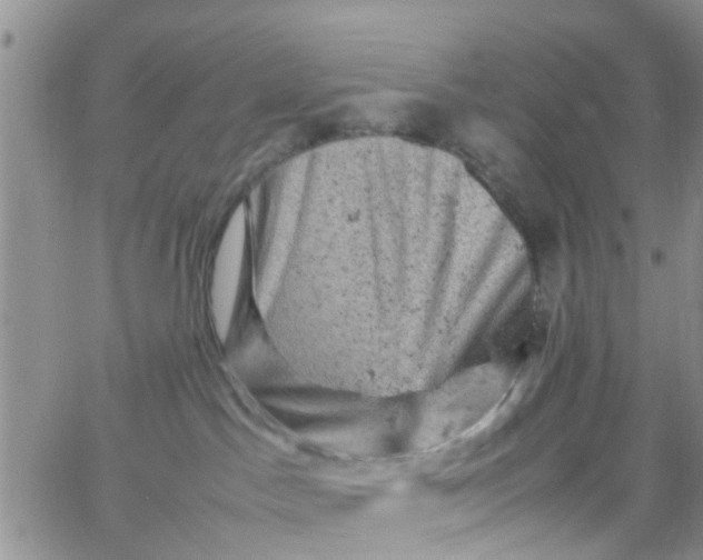 X0000065980045200603172126