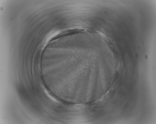 X0000065980050200603172125