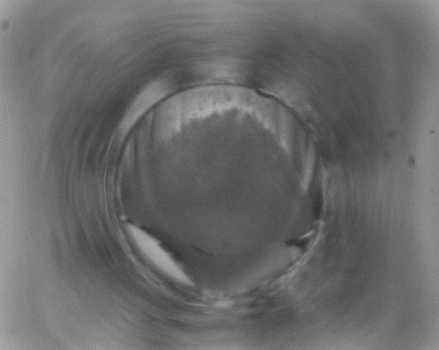 X0000065980051200603172125