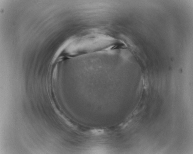 X0000065980052200603172125