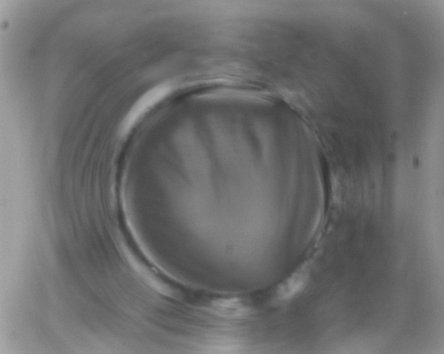 X0000065980054200603172125