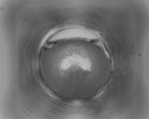 X0000065980056200603172125